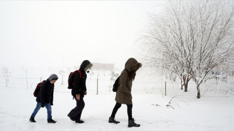 Ağrı'da kar yağışı dolayısıyla okullar tatil edildi