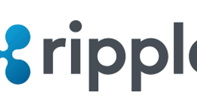 Ripple CEO'su XRP Davasının Bu Yaz Sona Ereceğini Tahmin Ediyor