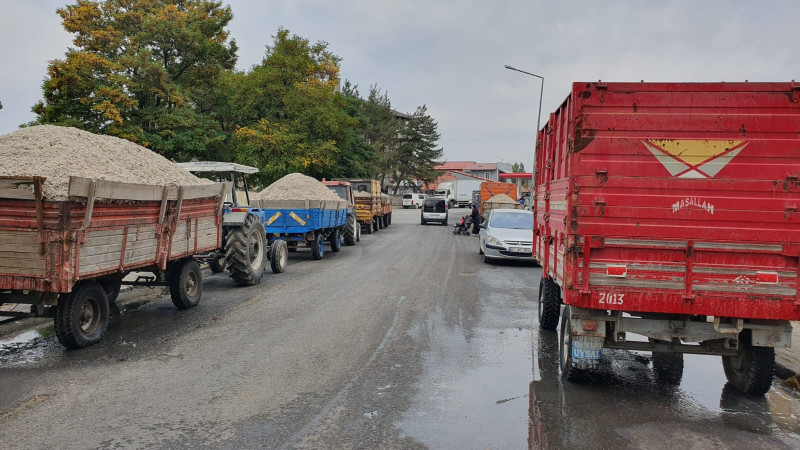 Alternatif yem olan yaş küspe sezonu başladı.