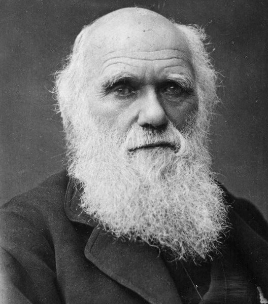 Darwin