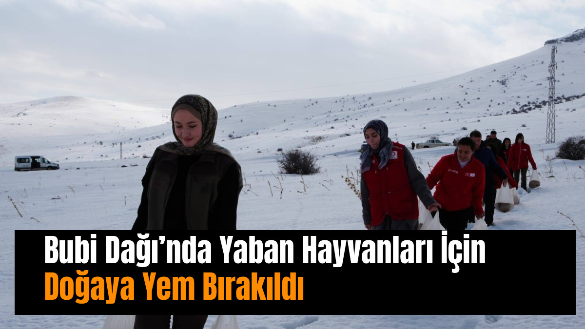 Bubi Dağı’nda Yaban Hayvanları İçin Doğaya Yem Bırakıldı