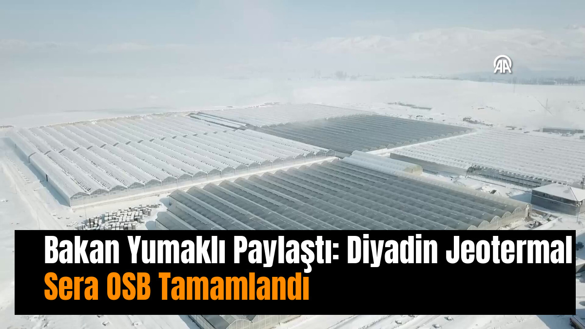 Bakan Yumaklı Paylaştı: Diyadin Jeotermal Sera OTB Tamamlandı