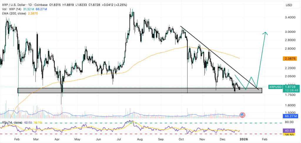 XRP Fiyat Tahmini: Ünlü Milyarderden Cardano ve Ripple Topluluklarına Övgü