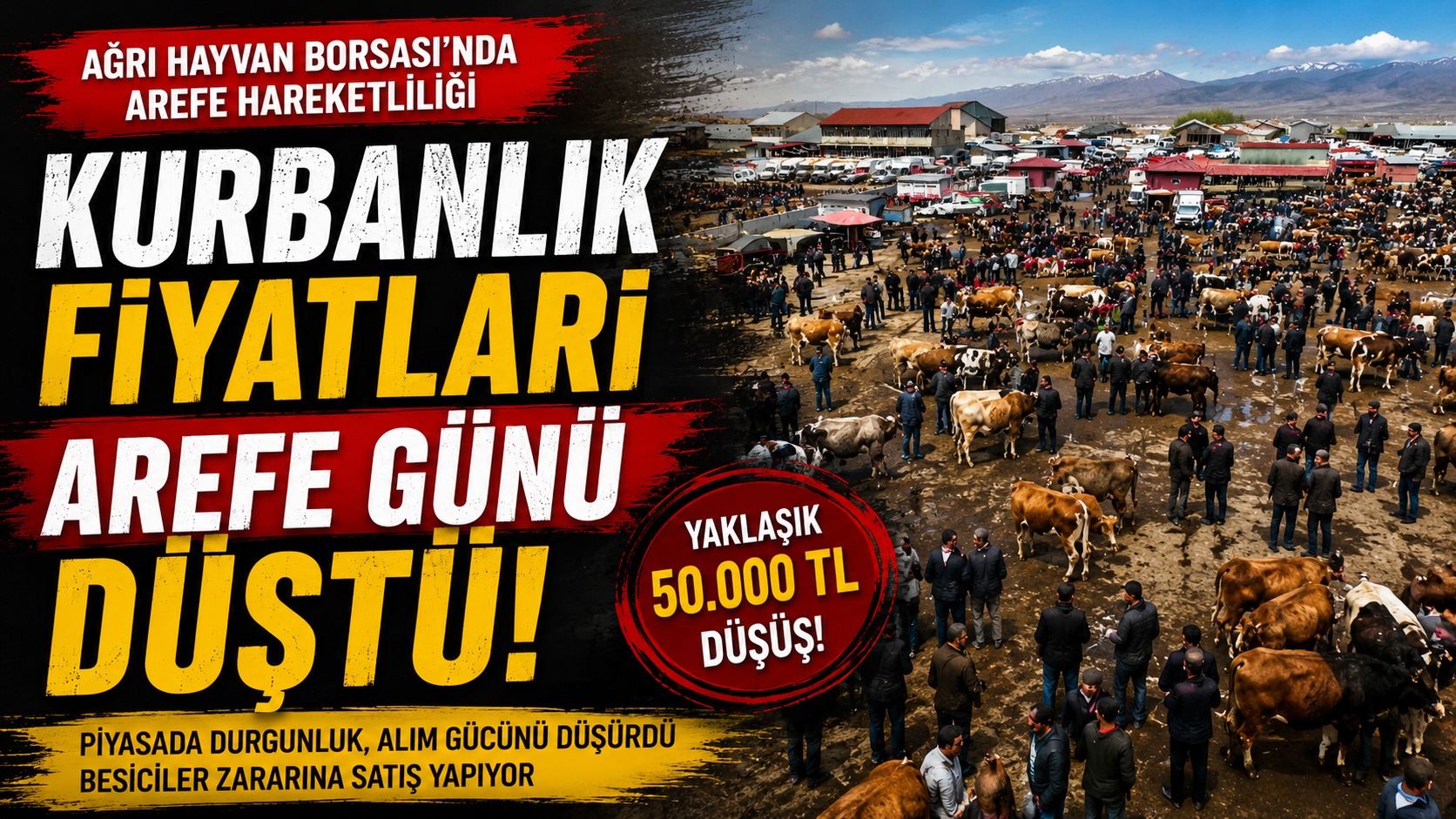 Ağrı Hayvan Borsası’nda Arefe Hareketliliği: Kurbanlık Fiyatları Geriledi