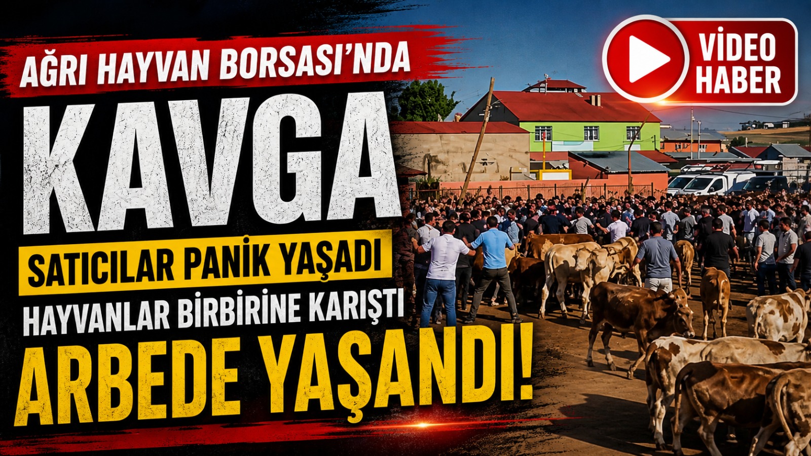 Ağrı Hayvan Borsası’nda Kavga: Satıcılar Panik Yaşadı, Hayvanlar Birbirine Karıştı