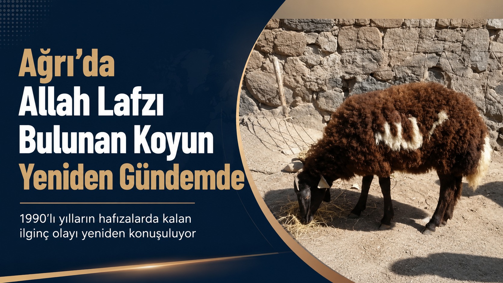 Ağrı’da Üzerinde Allah Lafzı Bulunan Koyun Yıllar Sonra Yeniden Gündem Oldu