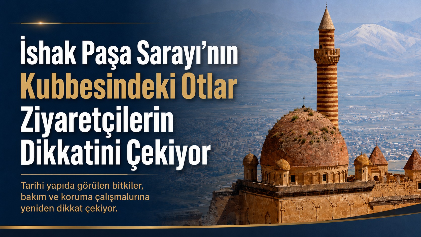 İshak Paşa Sarayı’nın Kubbesindeki Otlar Ziyaretçilerin Dikkatini Çekiyor