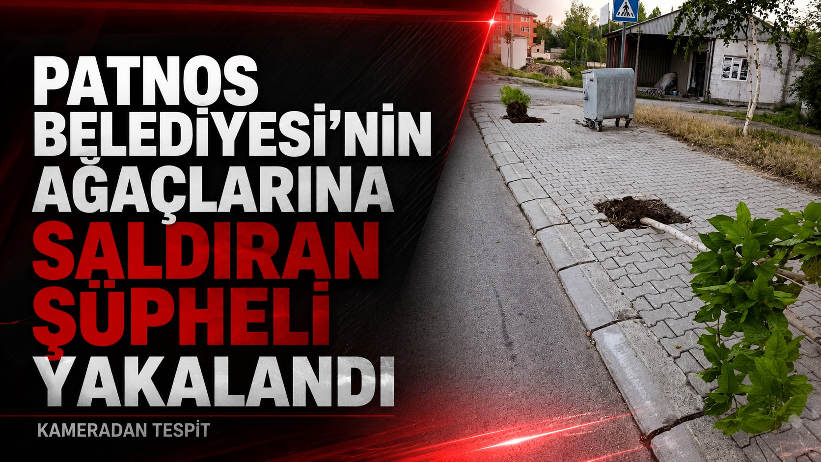 Patnos Belediyesi’nin Ağaçlarına Saldıran Şüpheli Kameradan Kaçamadı