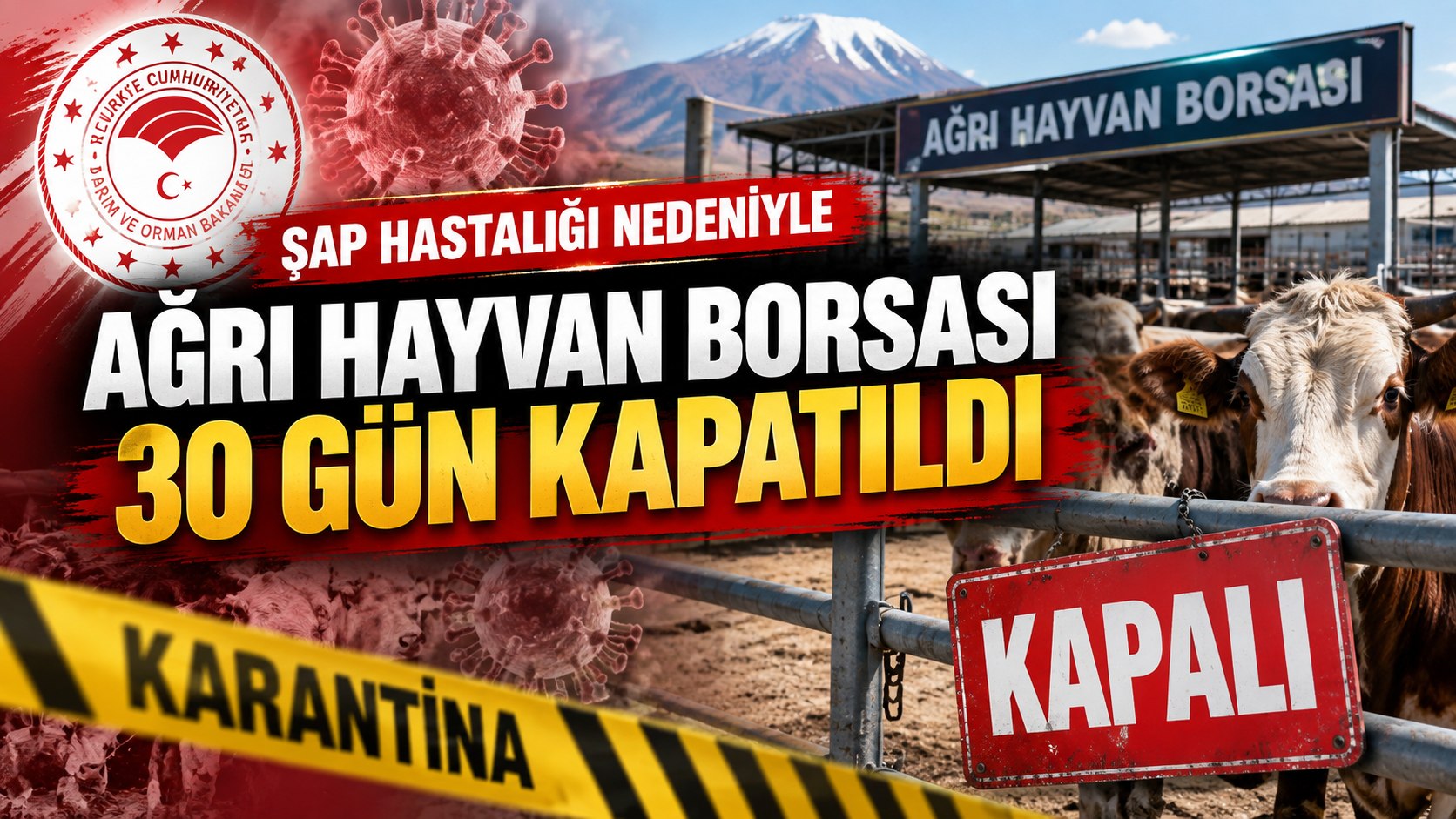 Ağrı Hayvan Borsası Şap Hastalığı Nedeniyle 30 Gün Kapatıldı