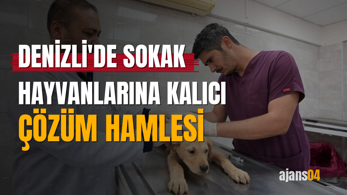 Denizli'de sokak hayvanlarına kalıcı çözüm hamlesi