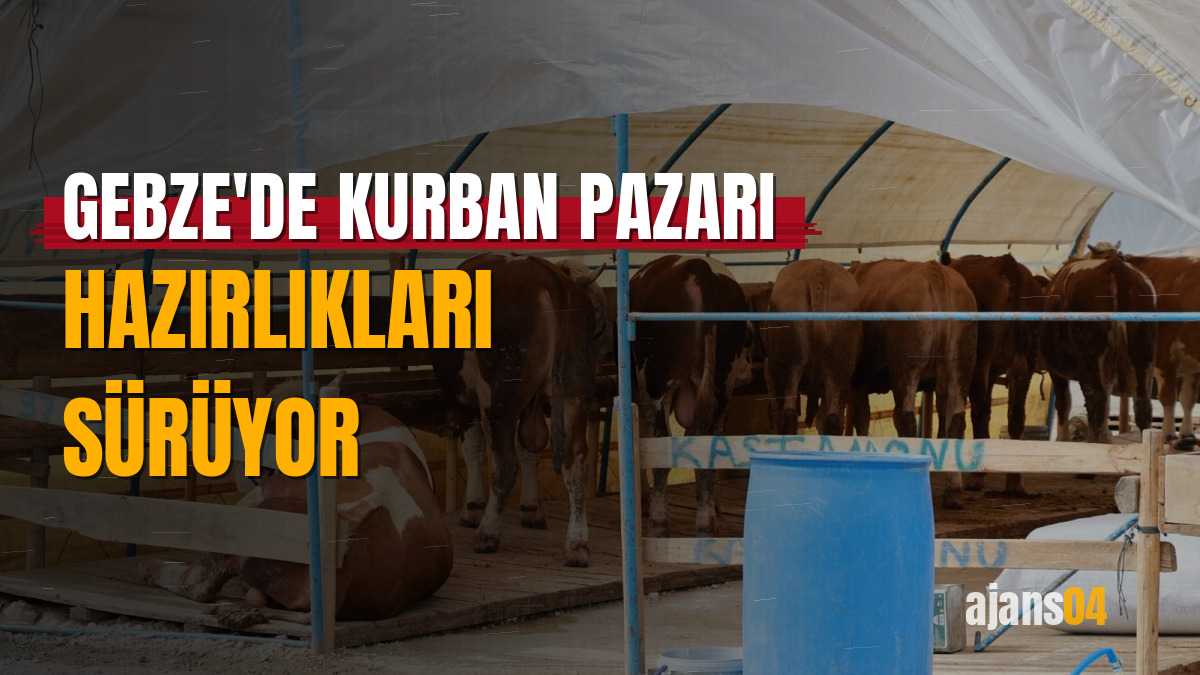 Gebze'de Kurban Pazarı hazırlıkları sürüyor