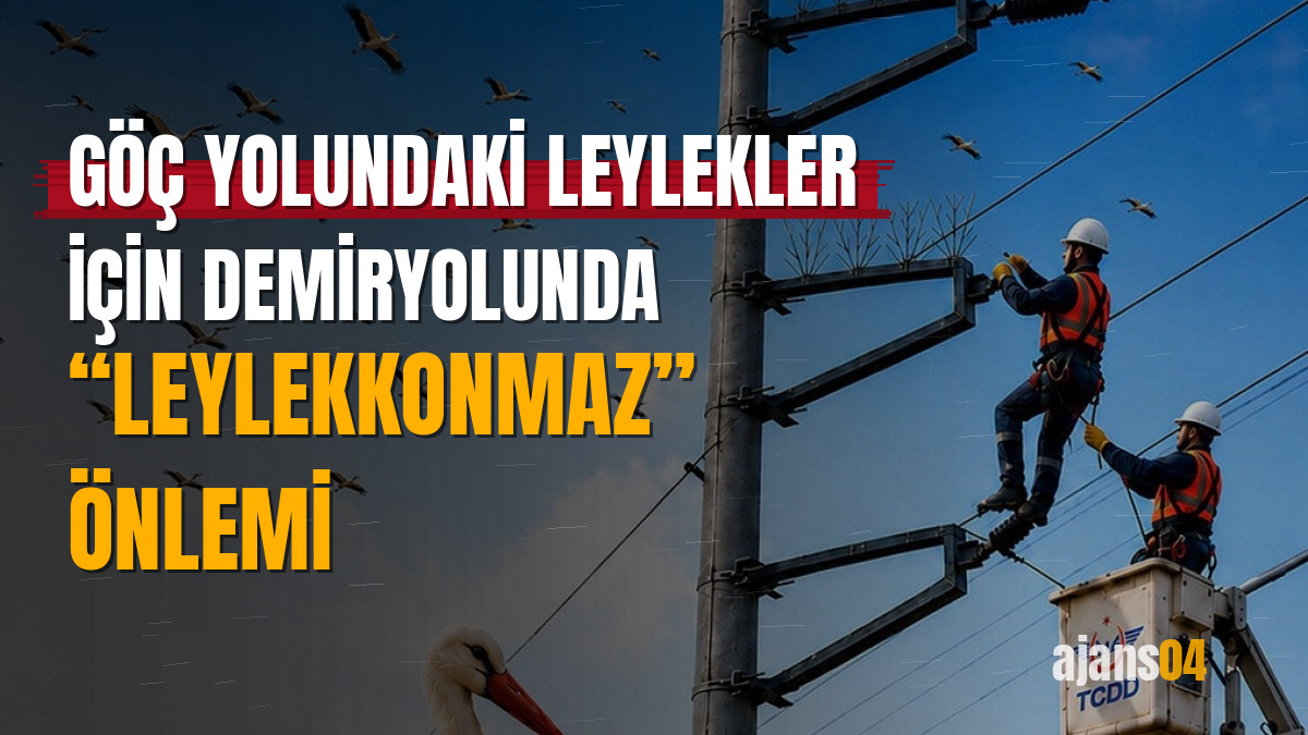 Göç yolundaki leylekler için demiryolunda “leylekkonmaz” önlemi