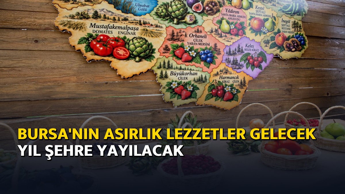 Bursa'nın asırlık lezzetler gelecek yıl şehre yayılacak