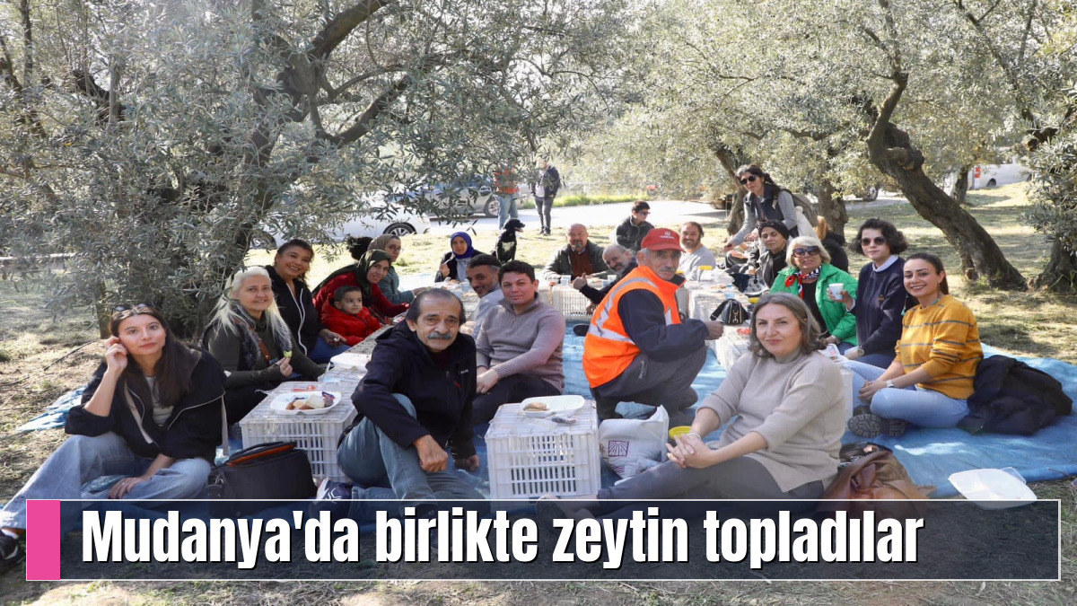 Mudanya'da birlikte zeytin topladılar