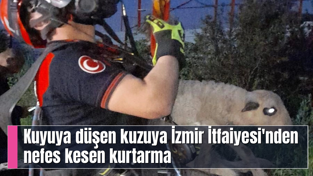 Kuyuya düşen kuzuya İzmir İtfaiyesi'nden nefes kesen kurtarma