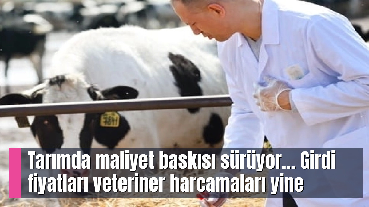 Tarımda maliyet baskısı sürüyor... Girdi fiyatları veteriner harcamaları yine zirvede