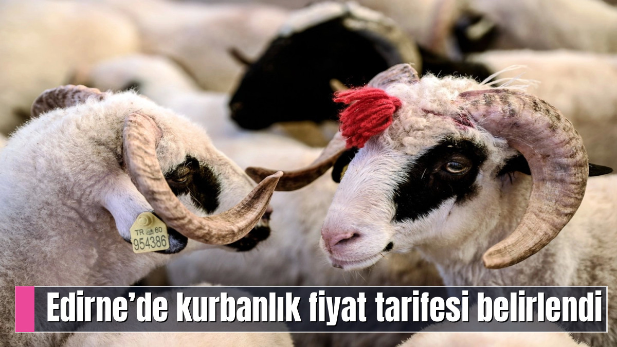 Edirne’de kurbanlık fiyat tarifesi belirlendi