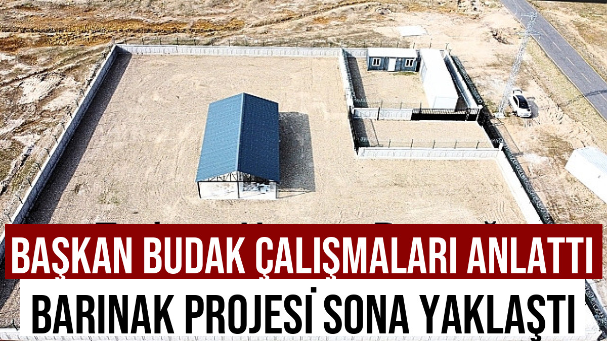 Taşlıçay'da Hayvan Barınağı Tamamlanıyor