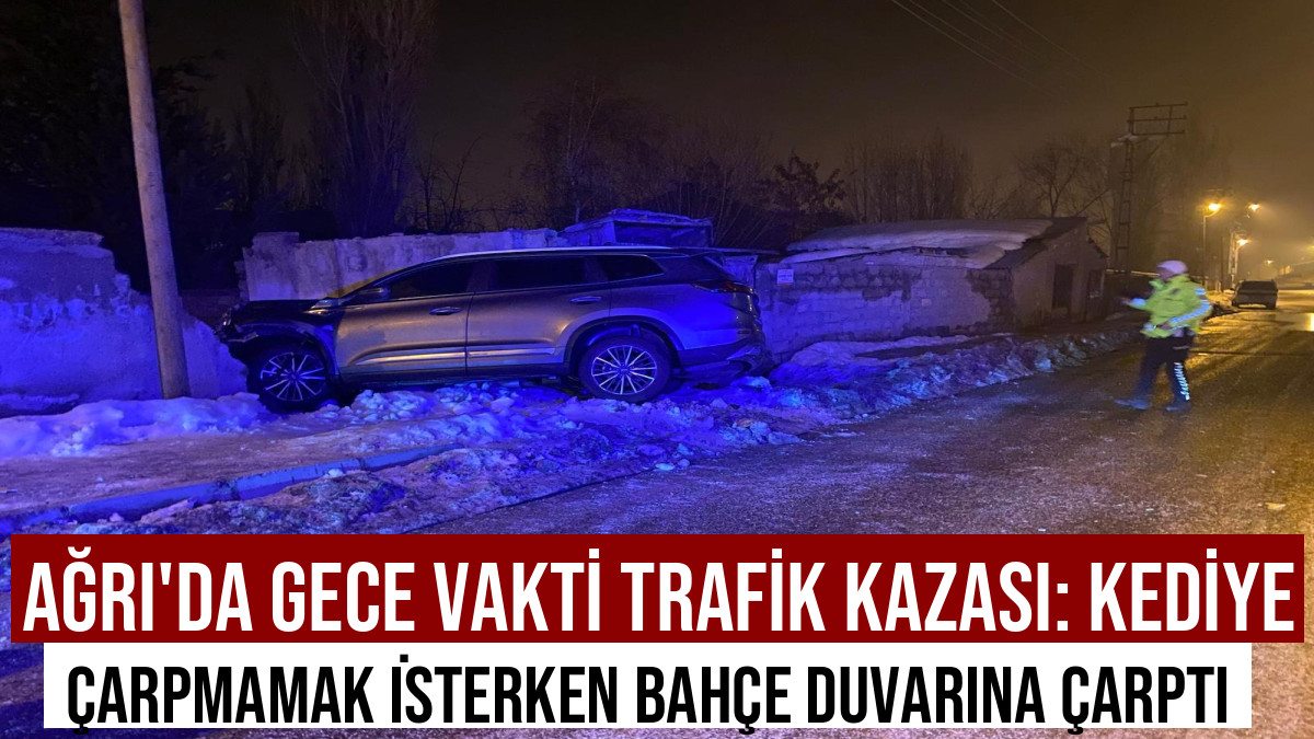 Ağrı'da Gece Vakti Trafik Kazası: Kediye Çarpmamak İsterken Bahçe Duvarına Çarptı