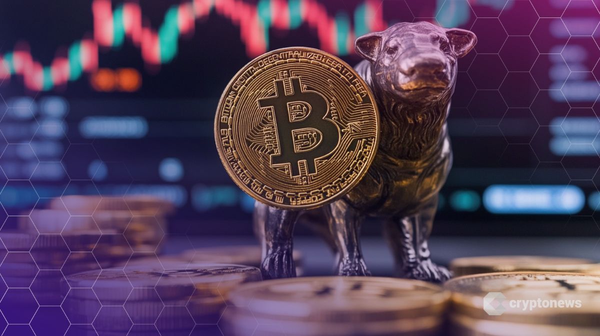 Bitcoin İçin İki Senaryo: Ayı Piyasası mı, 10 Yıl Sürecek Boğa mı?