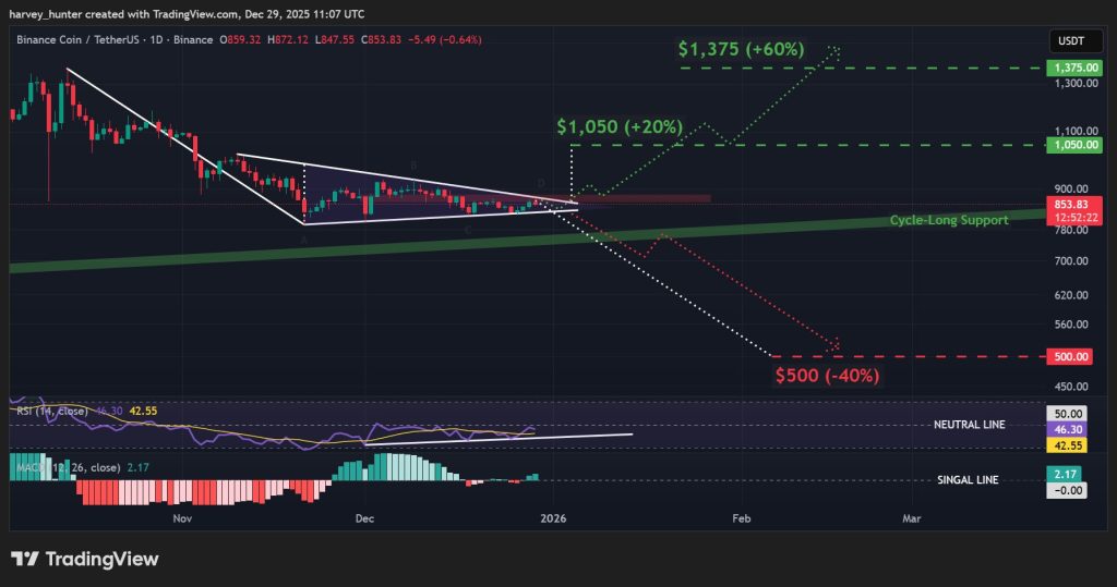 Binance Coin Fiyat Tahmini: 14 Ocak BNB İçin Neden Önemli?