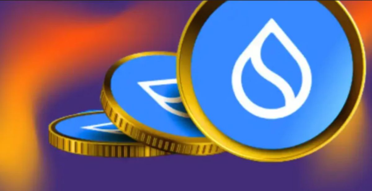 Sui, Bitcoin ve Ethereum’u Geride Bıraktı: Mysten Labs’in Gizlilik Hamlesi Ralliyi Tetikledi