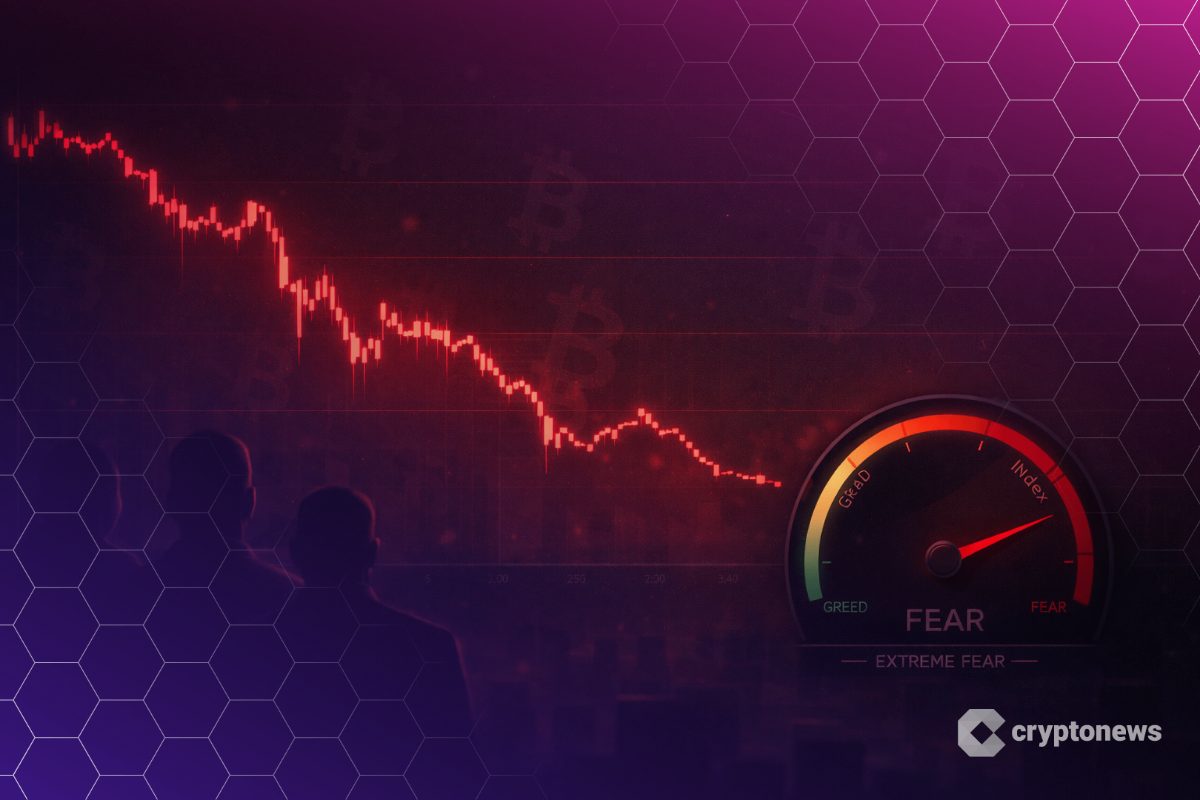 Kriptoda Korku Hakim: Bitcoin 82 Bin Dolara Gerilerken Altın Zirve Tazeledi